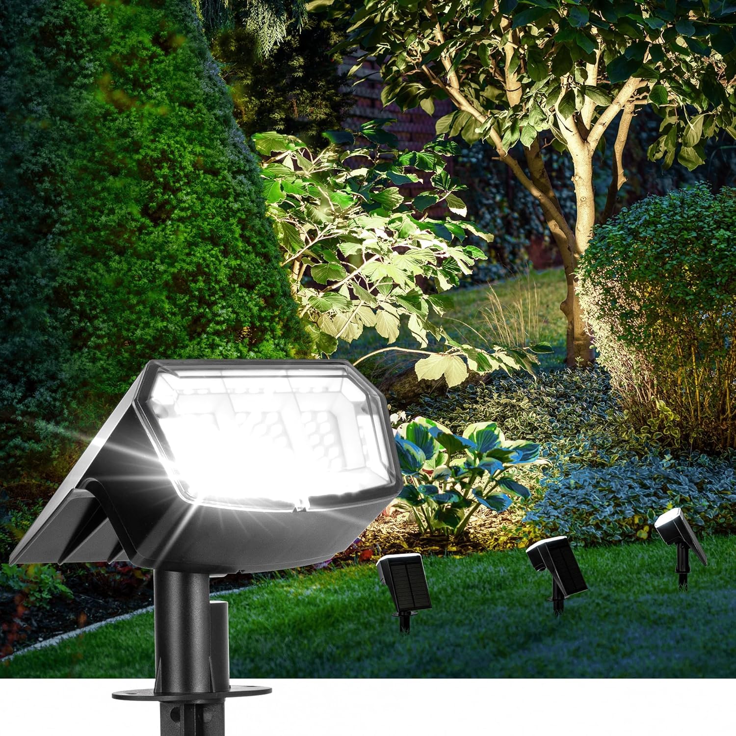 Solar-Powered Lights<i class="rhicon rhi-arrow-circle-right floatright"></i>